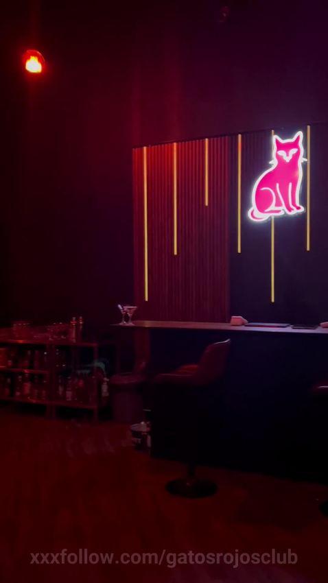 Ven a Gatos Rojos. Estamos ubicados en el bar.. Protagonizado por gatosrojosclub
