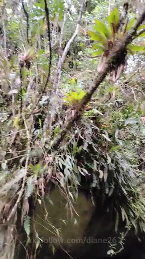 i love being so naugthy in the nature Protagonizado por diane26